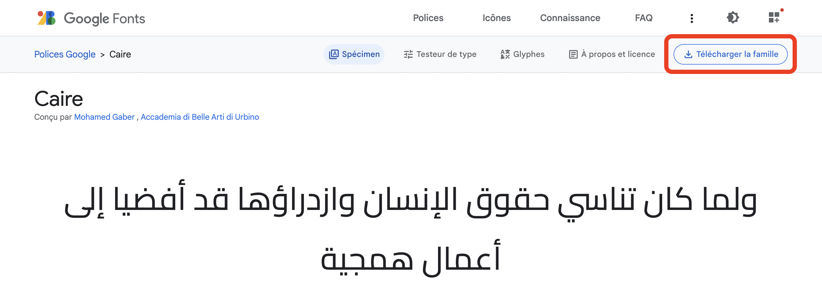 CREA_TRBL_text foreign language not displayed correctly-02-FR.png