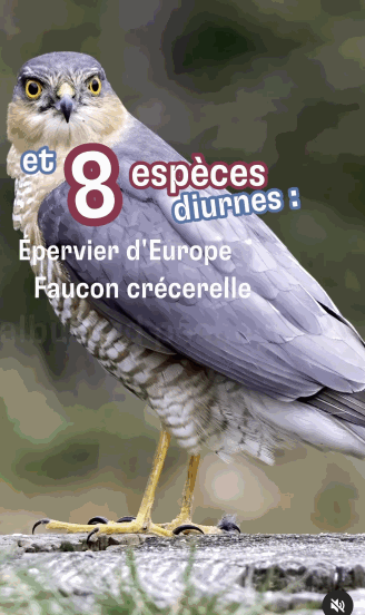 WEB_PRO_15_FR.gif