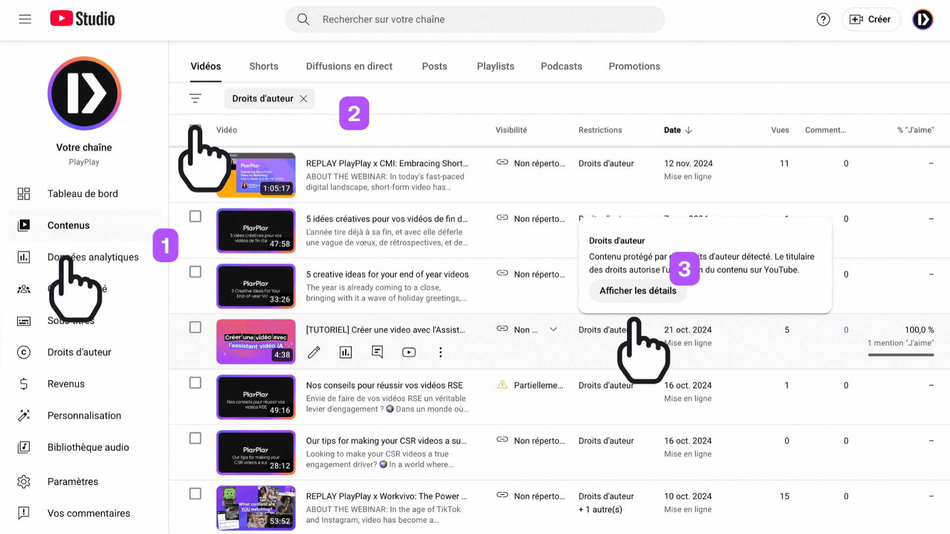 🇫🇷🇬🇧🇩🇪 Copyrights Youtube (1).gif